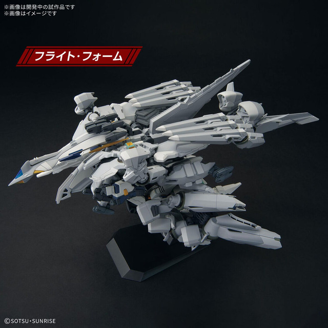 HG 1/144 アリュゼウス
