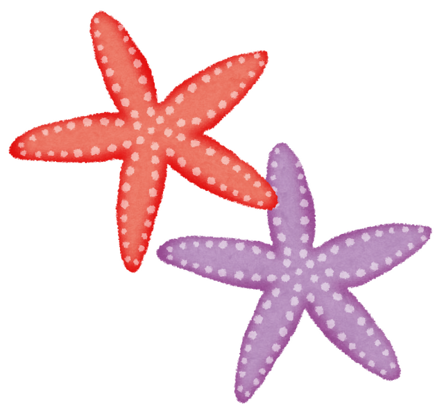 「歩いてるだけで面白い」「なんで常時メガシンカしてるのｗ」メガスターミー登場のアニメ「ポケットモンスター」予告にツッコミ続出