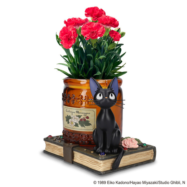 魔女の宅急便 『コキリの魔法』とカーネーションセット