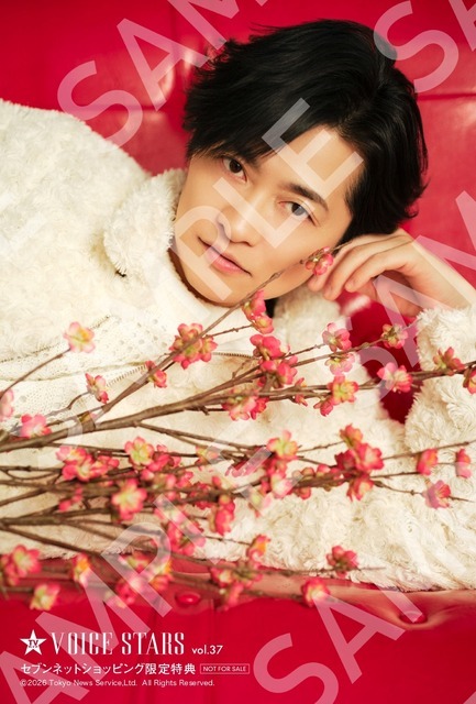 「TVガイドVOICE STARS」vol.37