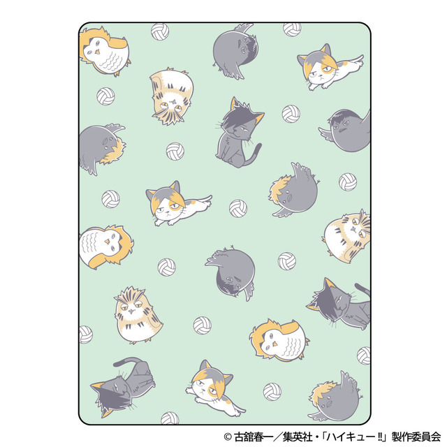 Coleman ピクニックマット