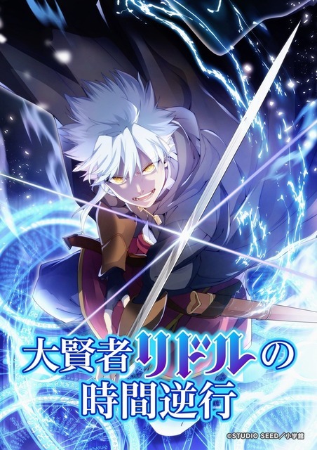 「大賢者リドルの時間逆行」