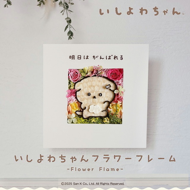 動物のお花屋さんマイペリドット「いしよわちゃん フラワー」作品イメージ