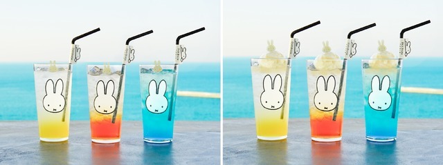 AOMORI×Dick Bruna TABLE