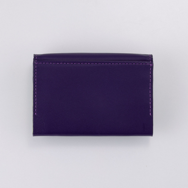 「スティール・ボール・ラン ジョジョの奇妙な冒険 レザーコレクション1」 名刺ケース / ジャイロモデル