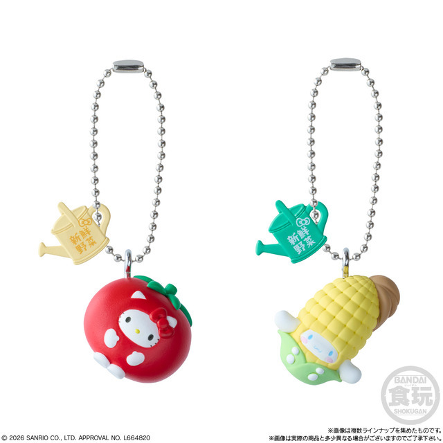 サンリオキャラクターズ ベジタブルビスケット＆チャーム