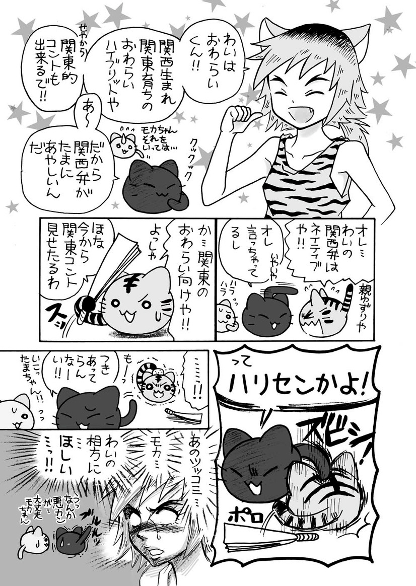 【にゃんコレ】(13)火花未満