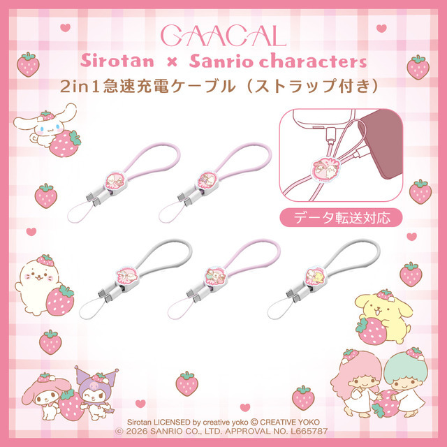 2in1急速充電ケーブル（Type-C）（５種類）