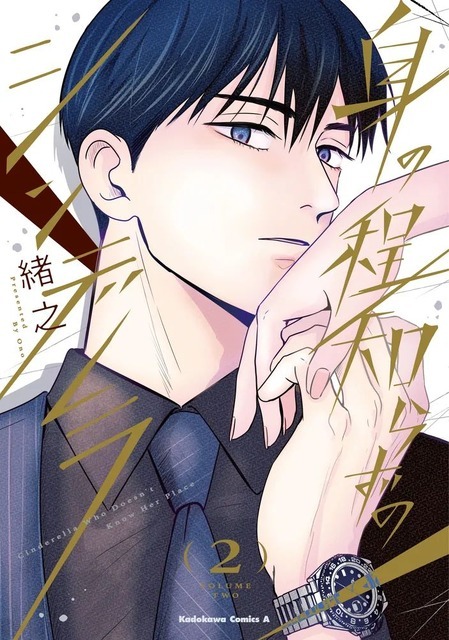 『身の程知らずのシンデレラ』第2巻