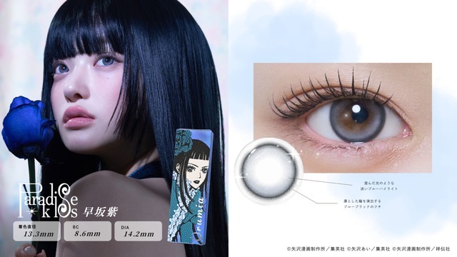 Lineup 5 『Paradise Kiss』早坂紫 Muse Blue　