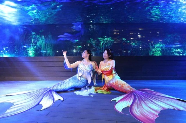 「天空のペンギン」水槽でマーメイドショーを開催