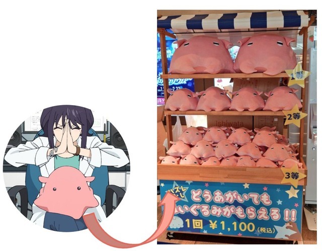 ★復活！メンダコぬいぐるみくじ