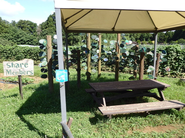 農園リゾート THE FARM