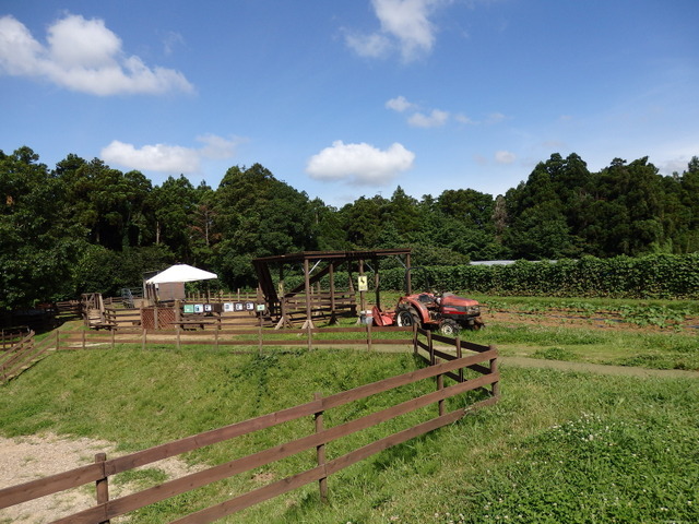 農園リゾート THE FARM