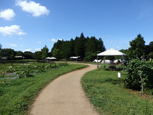 農園リゾート THE FARM
