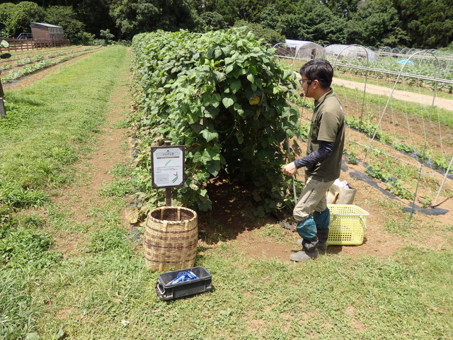 農園リゾート THE FARM