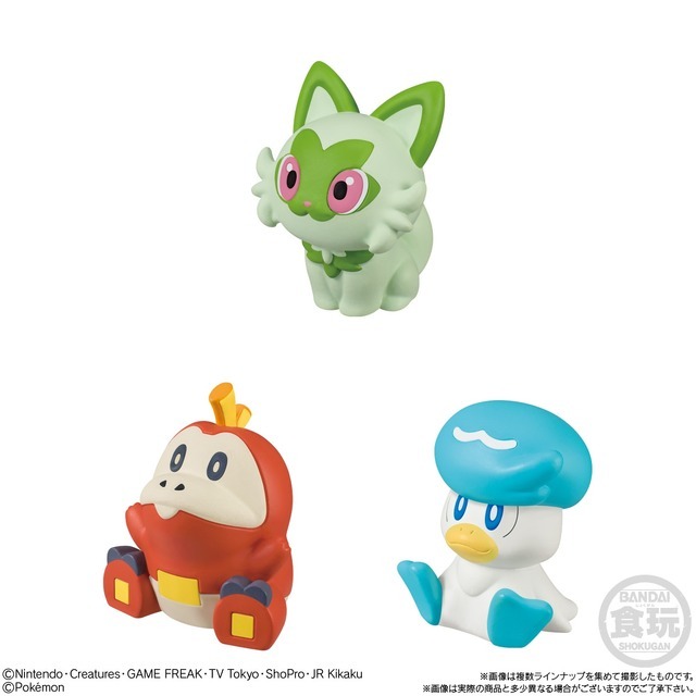 ポケモンキッズ 30周年スペシャルvol.4編