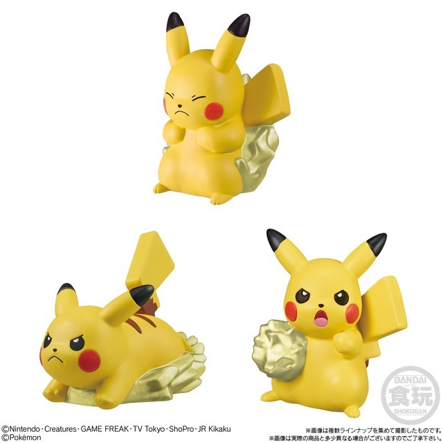 ポケモンキッズ 30周年スペシャルvol.4編