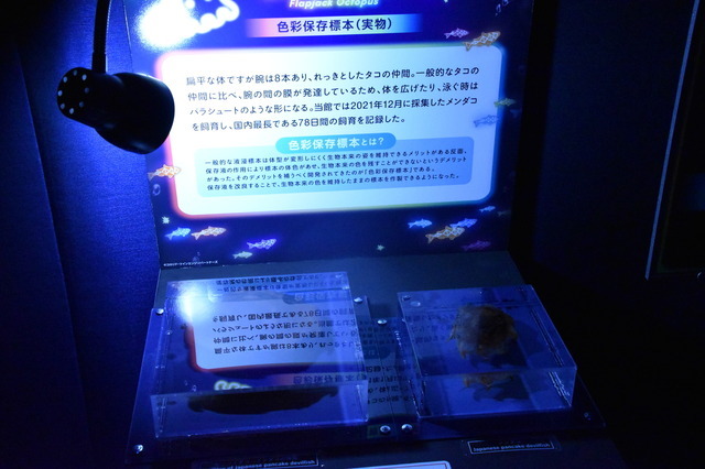 夜間限定営業 サンシャイン水族館×超かぐや姫！ ツクヨミアクアリウム