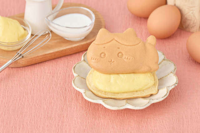 ハチワレ（クリーム）