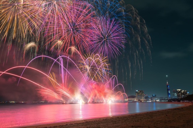 TVアニメ放送30周年記念　「名探偵コナン」芸術花火2026