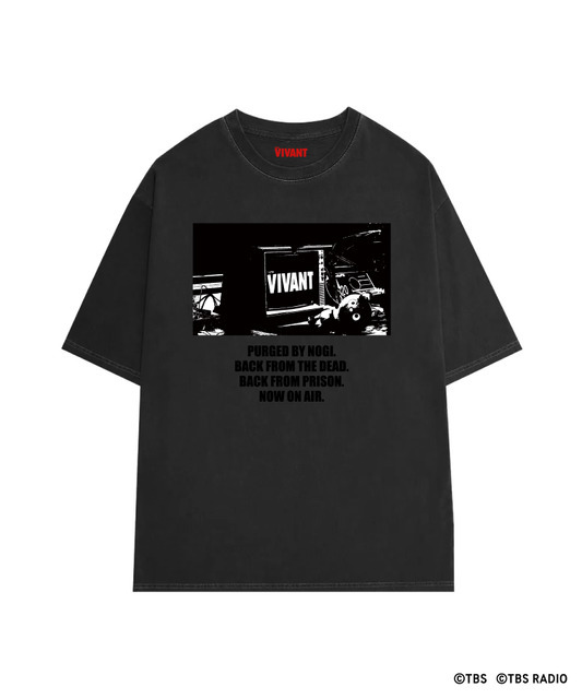 VILLANT COUNCIL PHOTO TEE
