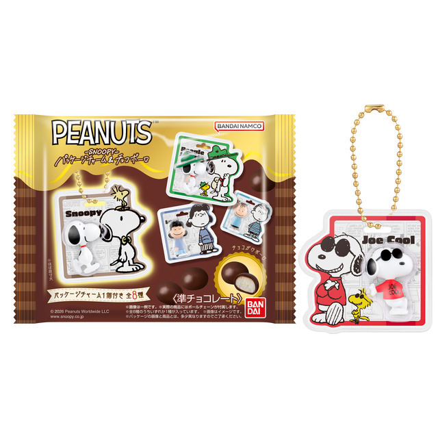 PEANUTS -SNOOPY- パッケージチャーム&チョコボーロ