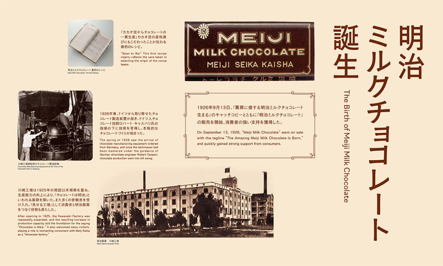 展示について_壁面イメージ