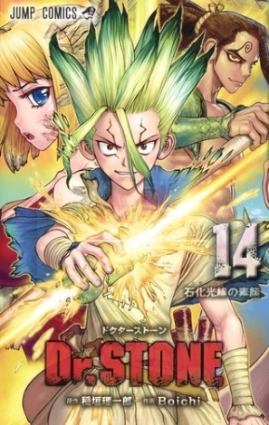 【第6位】『Dr.STONE（14）』著者：稲垣理一郎（原作）、Boichi（作画）/出版社：集英社