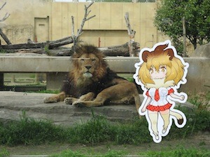 今年も開催決定！　東武動物公園×けものフレンズ「2018年もとうぶフレンズに会いに行くのだ！」