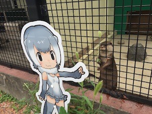 今年も開催決定！　東武動物公園×けものフレンズ「2018年もとうぶフレンズに会いに行くのだ！」