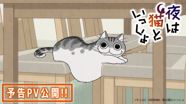 『夜は猫といっしょ』予告PV場面カット（C）キュルZ・KADOKAWA／夜は猫といっしょ