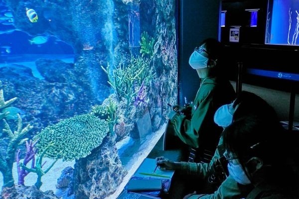 こどもワークショップ アニメ水族館