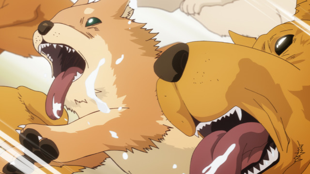 『犬になったら好きな人に拾われた。』第9話「ワンちゃんパニック。」先行場面カット（C）古川五勢・講談社／犬ひろ製作委員会