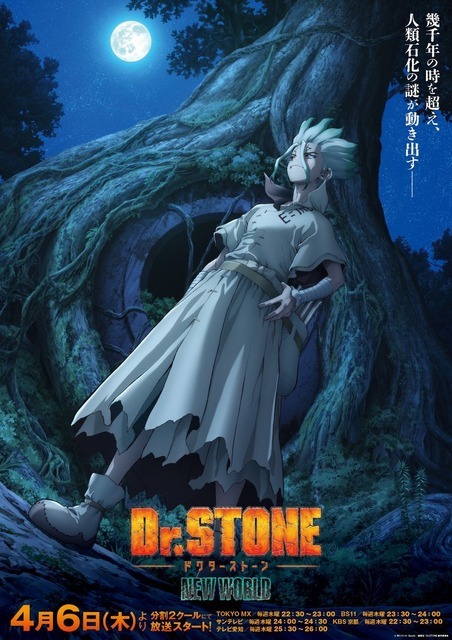 『Dr.STONE NEW WORLD』ビジュアル（C）米スタジオ・Boichi／集英社・Dr.STONE製作委員会