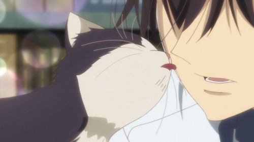 『同居人はひざ、時々、頭のうえ。』で矢坂大翔役を演じる堀江瞬が“猫愛”を語る！ 「江の島で猫ちゃんを撫でまくりました」【インタビュー】