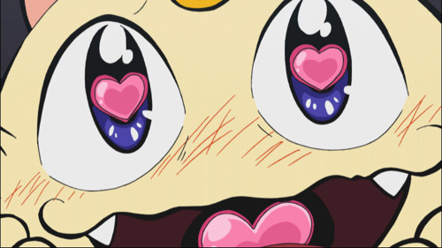 ニャースがフェローチェに恋を！TVアニメ『ポケットモンスター サン＆ムーン』3月24日放送のあらすじ＆先行カットが到着