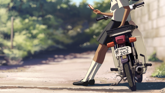 『秒速5センチメートル』場面写真（C）Makoto Shinkai / CoMix Wave Films