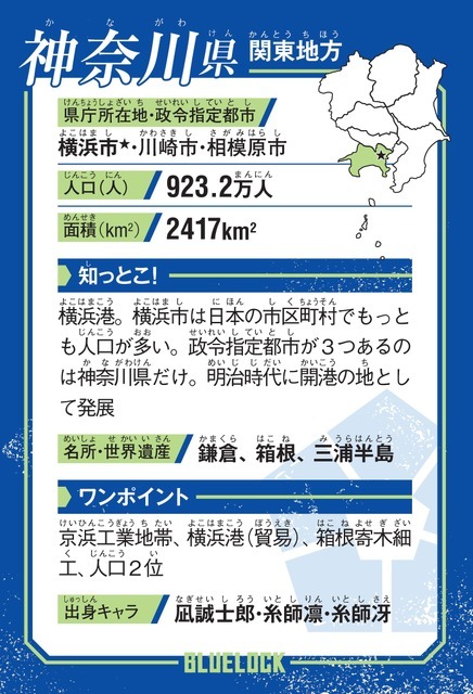 カード裏面