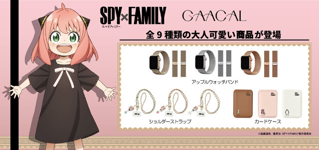 『SPY×FAMILY』×「GAACAL」メインビジュアル（C）遠藤達哉／集英社・SPY×FAMILY製作委員会