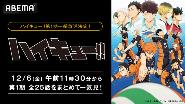 アニメ『ハイキュー!!』第1期無料一挙放送（C）古舘春一／集英社・「ハイキュー!!」製作委員会・MBS