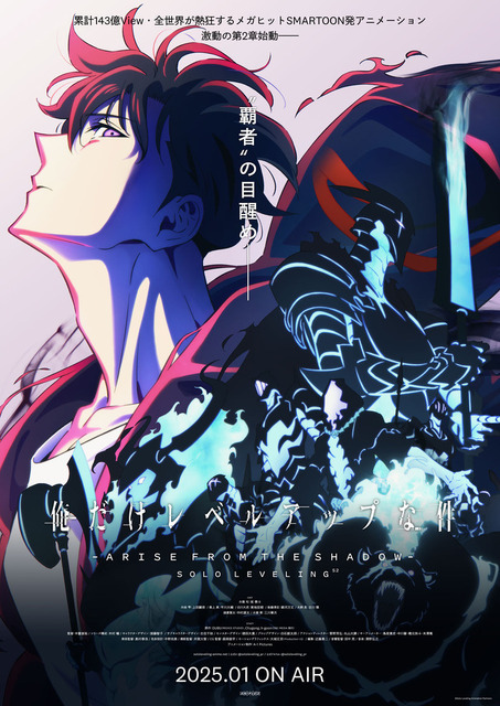 アニメ『俺だけレベルアップな件 Season 2 -Arise from the Shadow-』メインビジュアル（C）Solo Leveling Animation Partners