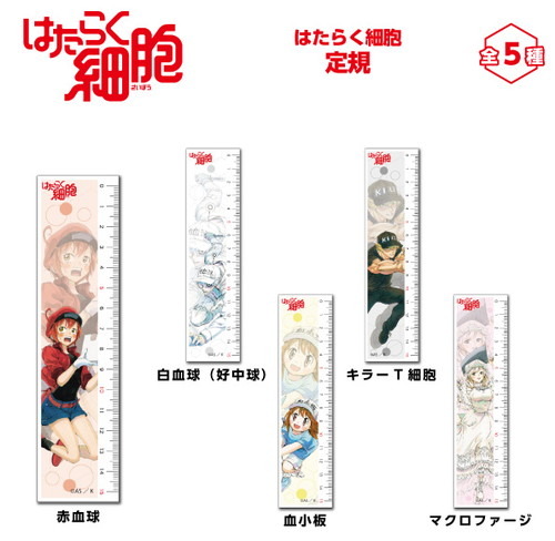 白血球の背中につかまる、血小板ちゃんが愛らしい…原作者・清水茜先生描き下ろしグッズを手に入れろ！『はたらく細胞原画展』にて、ホビーストック企画商品各種の先行販売が決定！