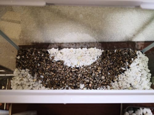 菊池勇成の趣味レーション！（82）