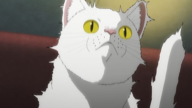 夏アニメ『ニャイト・オブ・ザ・リビングキャット』第1話（Chapter1）「すべてが猫になる」先行場面カット