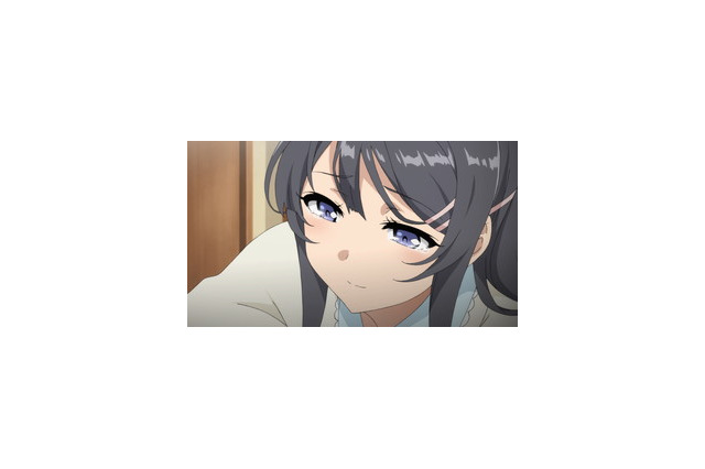 青春ブタ野郎はバニーガール先輩の夢を見ない 超 アニメディア 青春ブタ野郎はバニーガール先輩の夢を見ない 超 アニメディア