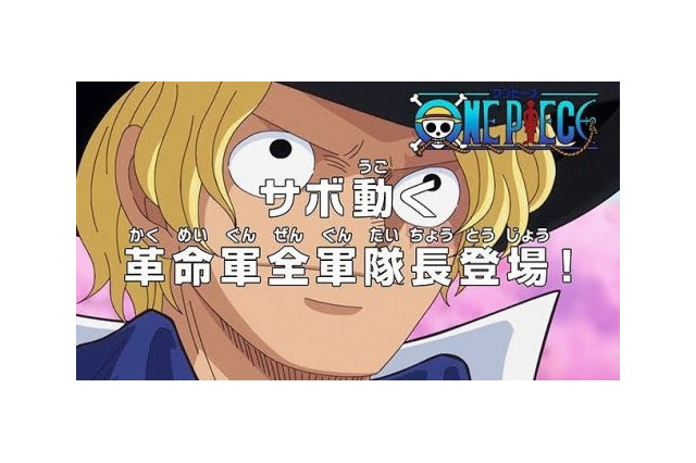 One Piece 超 アニメディア