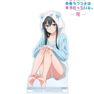 希少　レア　俺ガイル　部屋着　和風　ナースメイド　ポリス　雪ノ下雪乃　雪乃 俺ガイル」もこもこ部屋着＆和風メイド服＆アメリカンダイナー…どの