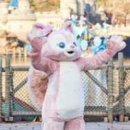 ミッキーもダッフィーも可愛すぎ☆ ディズニーシーの新ハーバーショー