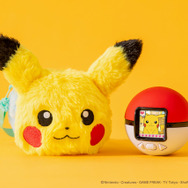 ポケモンともっと仲良しになれる！「ポケなで モンスターボール」専用